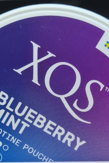 XQS blueberry mint nikotin påsar