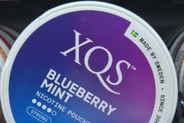 XQS blueberry mint nikotin påsar