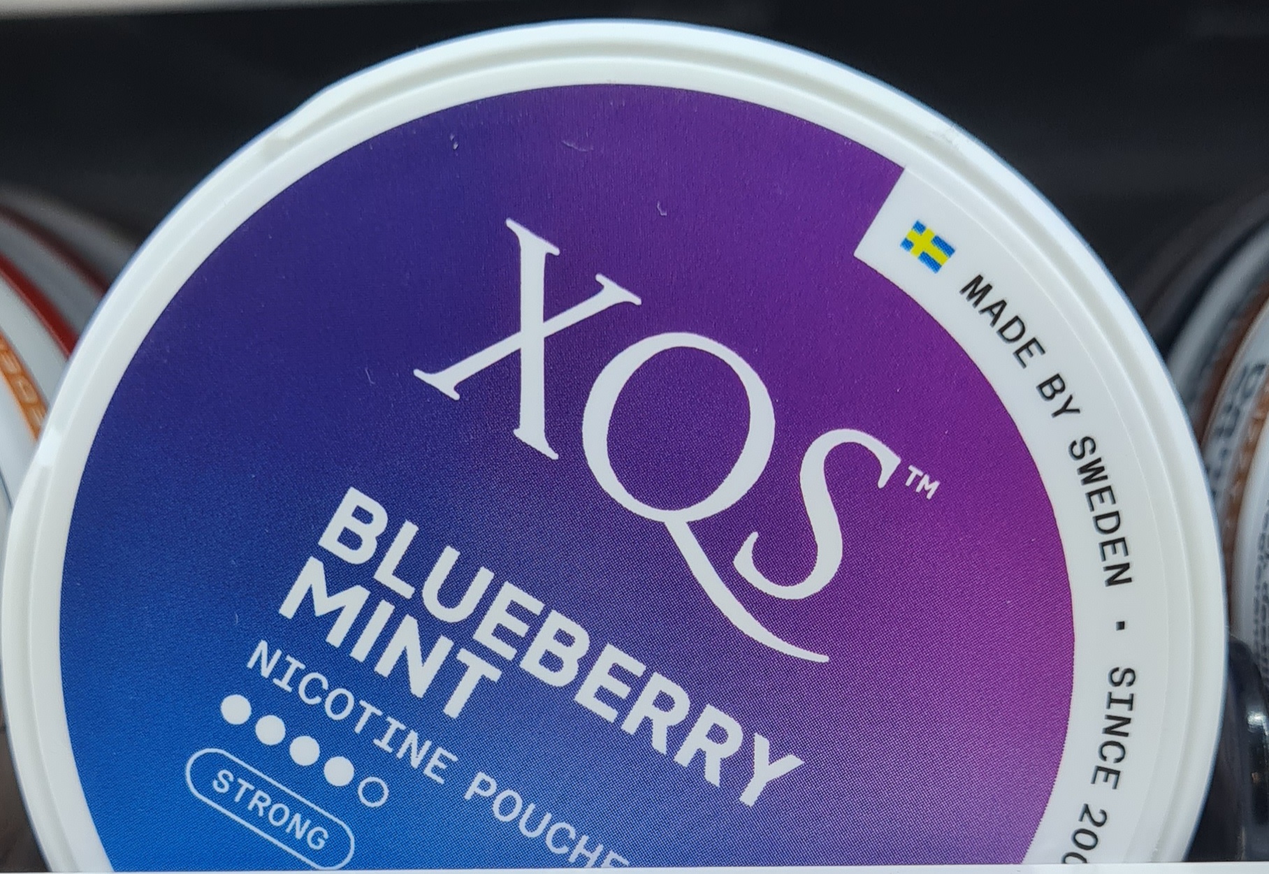 XQS blueberry mint nikotin påsar
