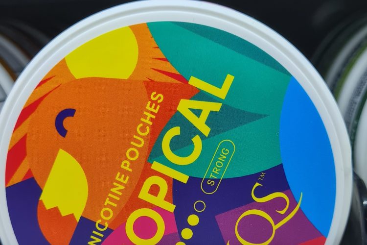 XQS Tropical snus nikotin påsar